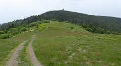 050a_TZ60_P1110913_cr