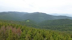 070_TZ60_P1110935_cr