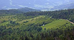 094_TZ60_P1110963_cr