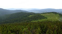 102_TZ60_P1110970_cr