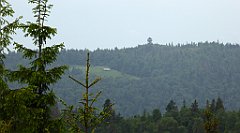 120_TZ60_P1110979_cr