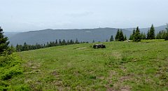 125_TZ60_P1110983_cr