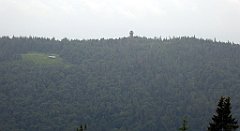 126_TZ60_P1110984_cr