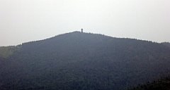 136_TZ60_P1110991_cr