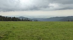 147_TZ60_P1110998_cr