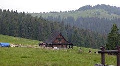 150_TZ60_P1120002_cr