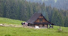 151_TZ60_P1120003_cr