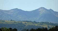 0031_TZ60_P1120014_cr