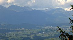 0119_TZ60_P1120070_cr