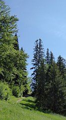 0127a_TZ60_P1120079_cr