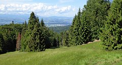 0132_TZ60_P1120084_cr