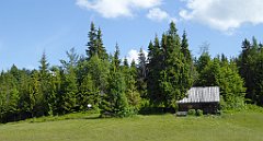 0149_TZ60_P1120097_cr