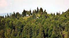 0161_TZ60_P1120100_cr