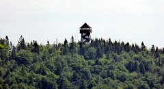 0165_TZ60_P1120104_cr