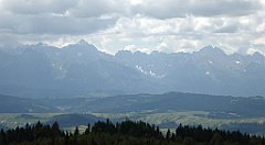 0179_TZ60_P1120111_cr