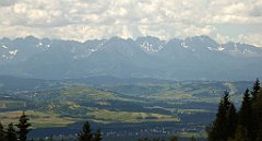 0183_TZ60_P1120115_cr