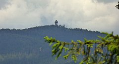 0212_TZ60_P1120132_cr