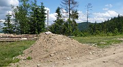 0250a_3D_P1080845_cr