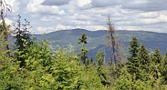 0255_TZ60_P1120153_cr