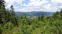 0257_TZ60_P1120155_cr