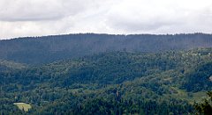 0268_TZ60_P1120165_cr