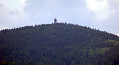 0280_TZ60_P1120172_cr