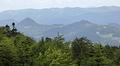 0287_TZ60_P1120179_cr