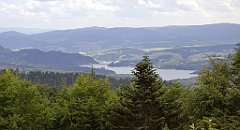 0290_TZ60_P1120182_cr