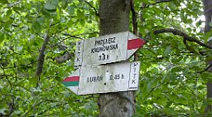 0310_TZ60_P1120197_cr