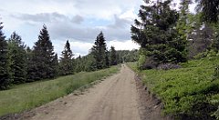 0312_TZ60_P1120199_cr