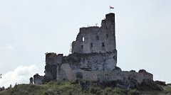 0081_TZ60_P1120284_cr