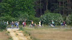 0092_TZ60_P1120290_cr