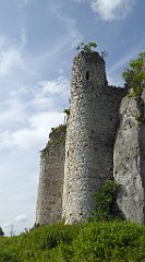 0109_TZ60_P1120304_cr