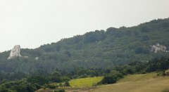 0347_TZ60_P1120366_cr