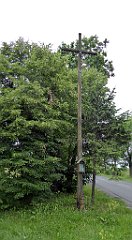 0410_TZ60_P1120406_cr