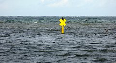 0152_TZ60_P1120502_cr