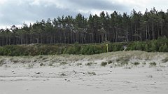 0225_TZ60_P1120563_cr