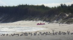 0230_TZ60_P1120568_cr