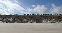 0251_TZ60_P1120589_cr