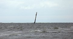 0266b_TZ60_P1120595_cr