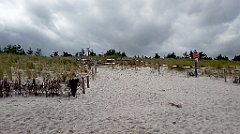 0326_A806_IMG_20160717_102548_cr