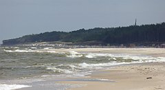 0393a_TZ60_P1120702_cr