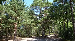 0447a_3D_P1090444_cr