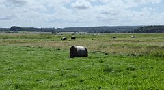 0466_TZ60_P1120730_cr