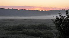 0004_TZ60_P1120742_cr