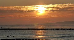 0051a_TZ60_P1120765_cr