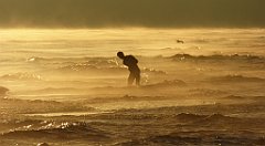 0098_TZ60_P1120790_cr