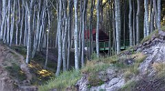 0206_TZ60_P1120866_cr