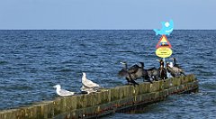 0345_TZ60_P1120970_cr