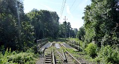 125_TZ60_P1130024_cr